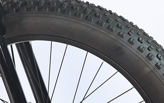 fat tire fat tire