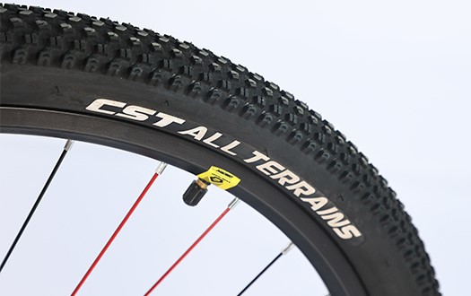 CST mountain bike