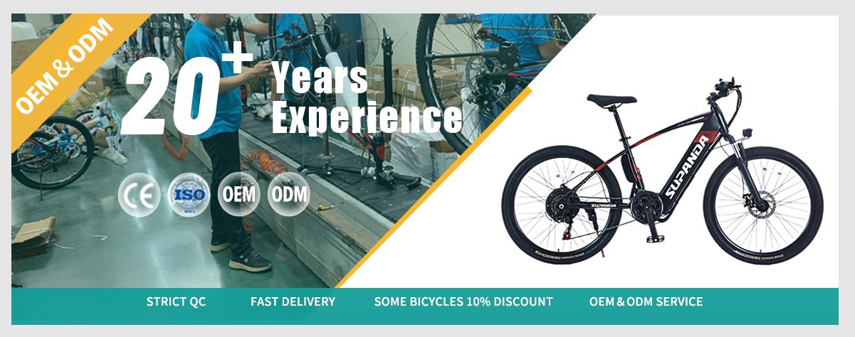 hardtail electric MTB