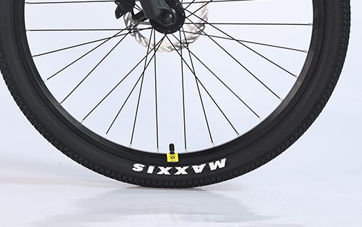 Maxxis tire