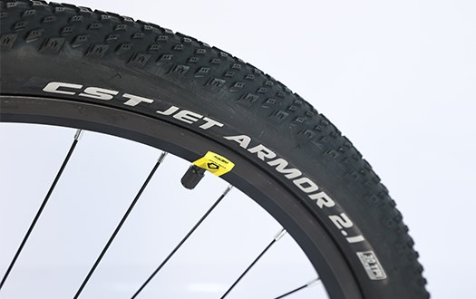 CST tire