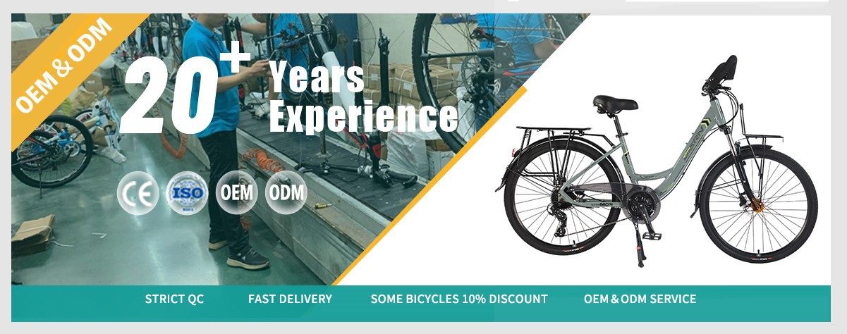 city bike wholesale