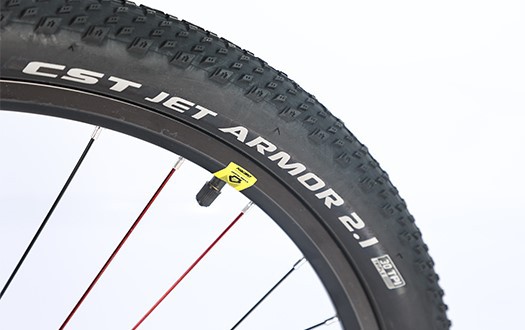 CST tire