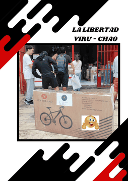bicycle custom