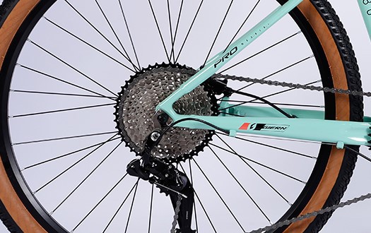 cassette freewheel