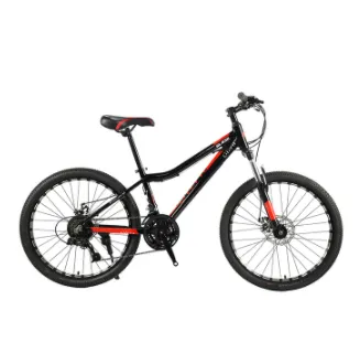 Mountain Bike Mountain Bike