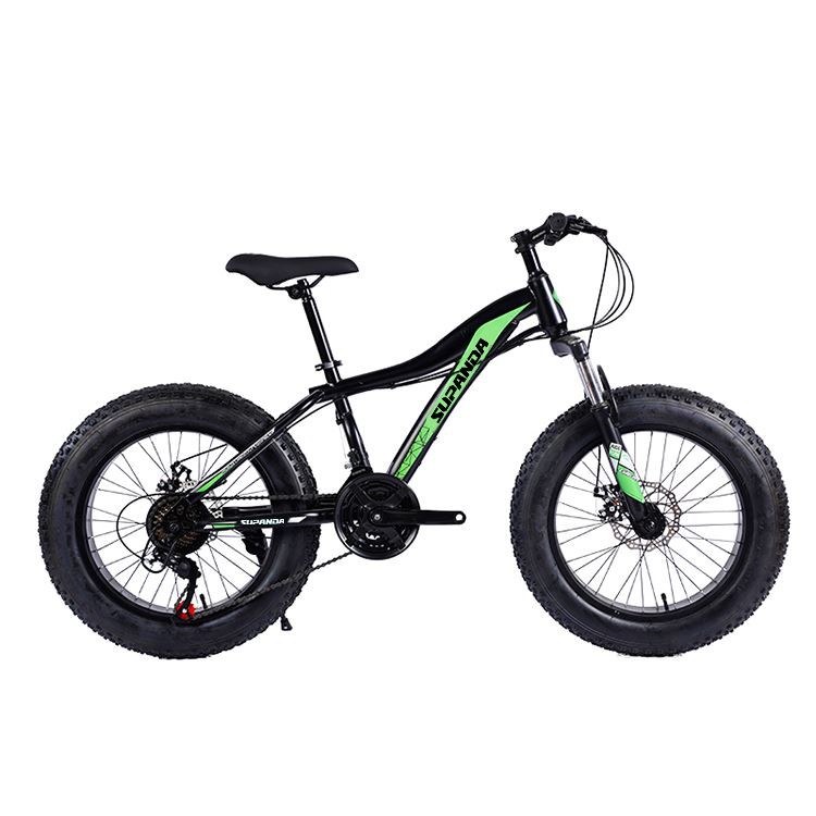 Aluminum Fat Tire Bike