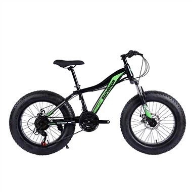 Aluminum Fat Tire Bike