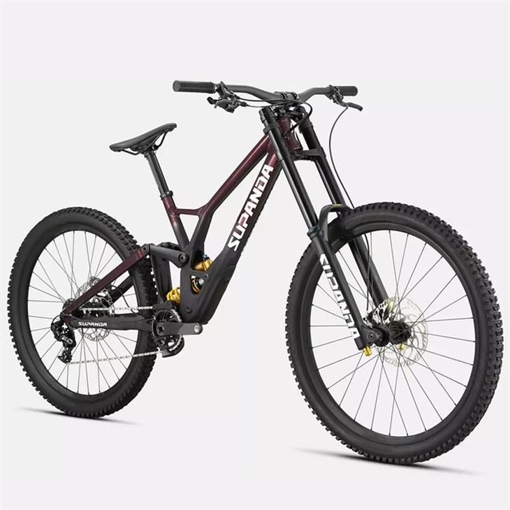 women's downhill mountain bike1
