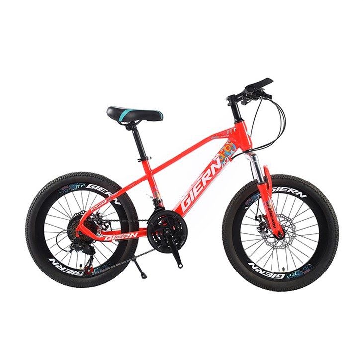 20 Downhill Cycle