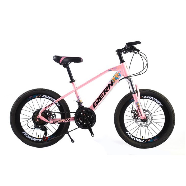 20 Downhill Cycle
