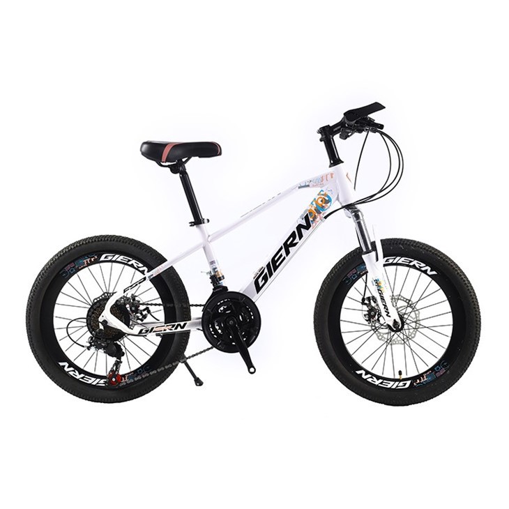 20 Downhill Cycle