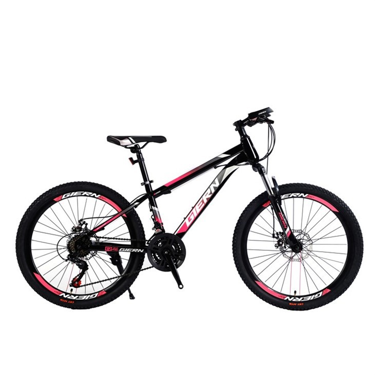 21 Speed Hardtail Mtb