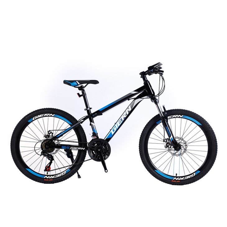 21 Speed Hardtail Mtb