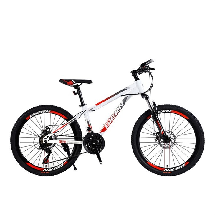 21 Speed Hardtail Mtb