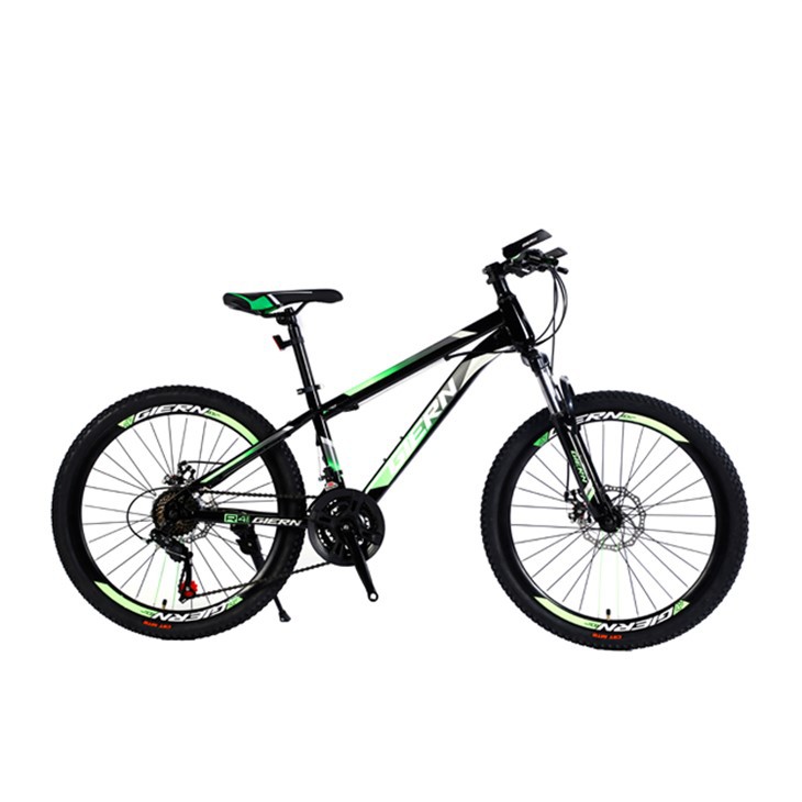 21 Speed Hardtail Mtb
