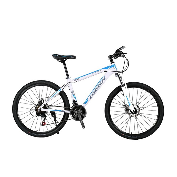 Enduro Aluminum Alloy Mountain Bike