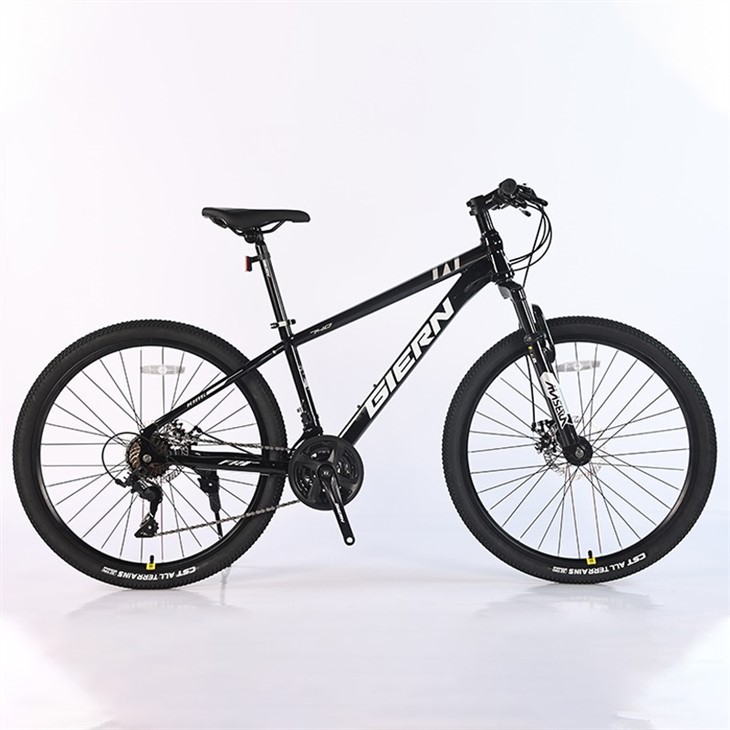 24 Speed MTB