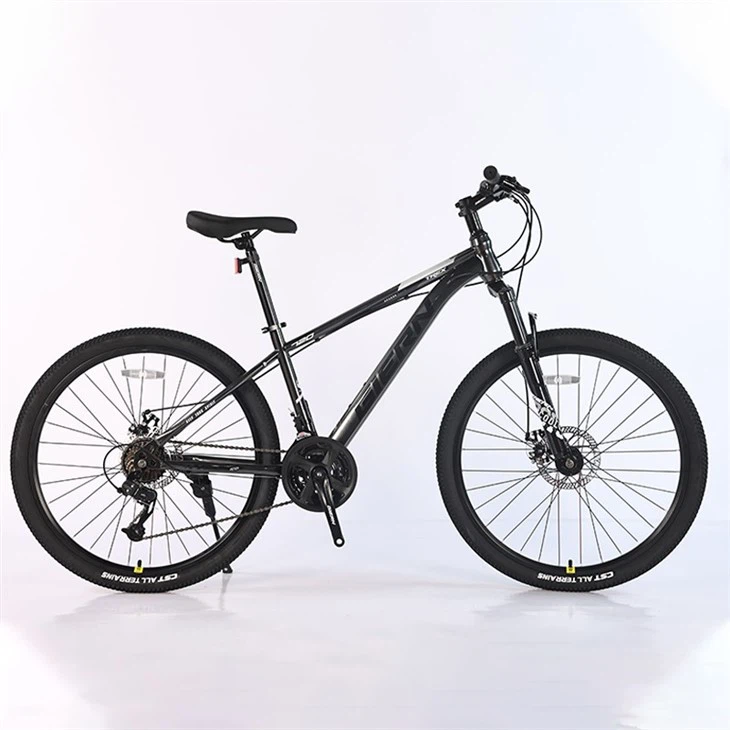 26 Mtb Hardtail Frame