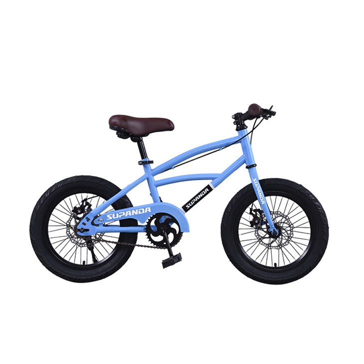 Bicycle For Age 10