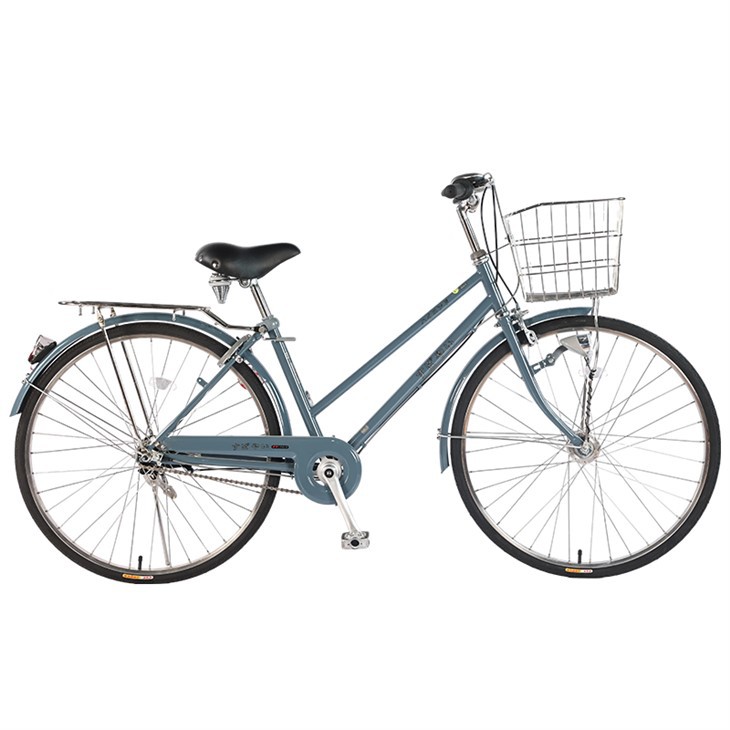 Comfort Commuter Bike