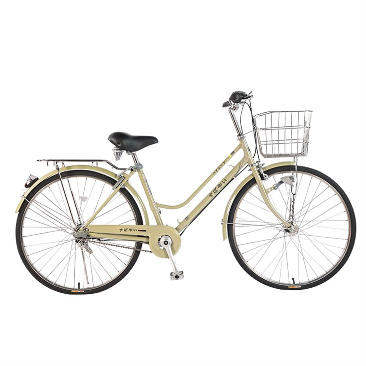Daily Commuter Bike