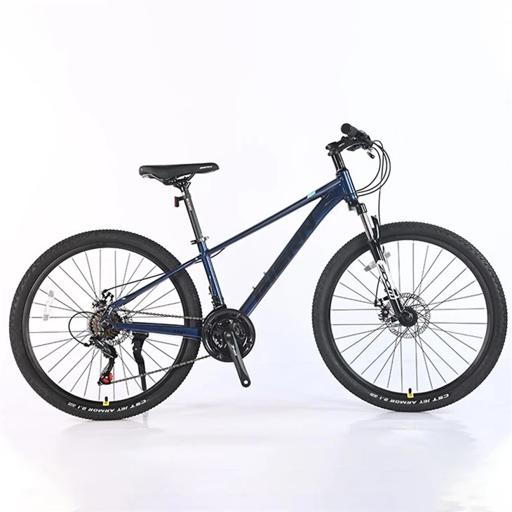 Downcountry Hardtail Mtb