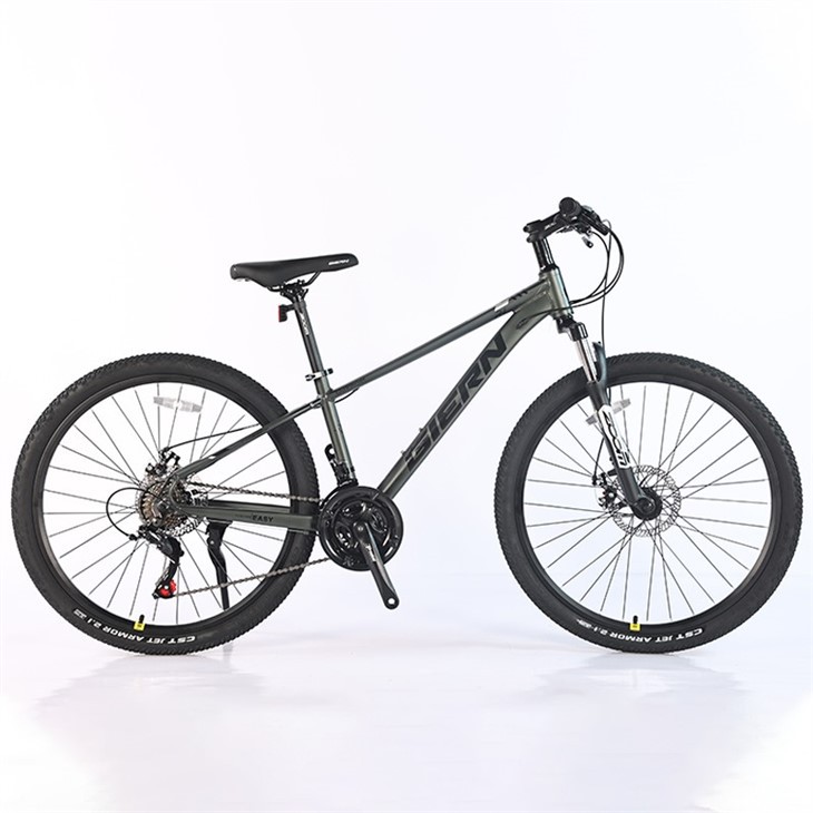 Downcountry Hardtail Mtb
