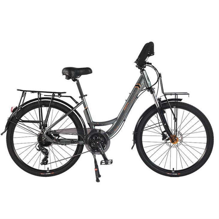 Electric City Bike