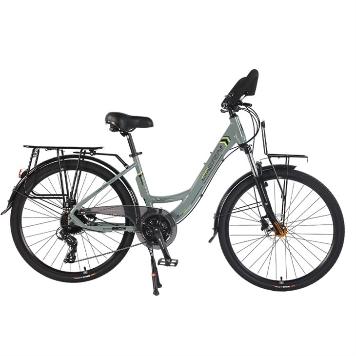 Electric City Bike