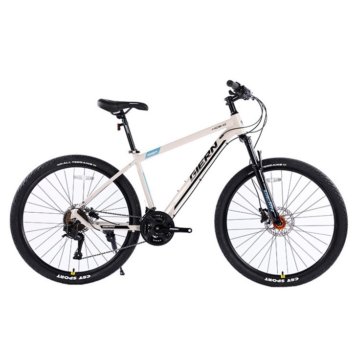 Fat Mountain Bike Variable Speed Bicycle Bmx Bike