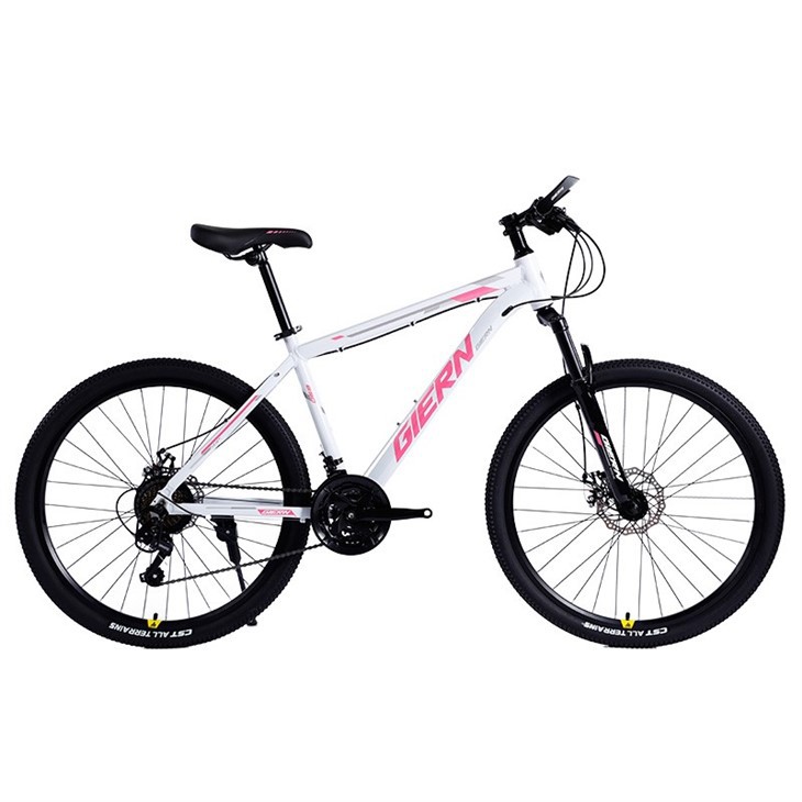 Good Hardtail Mountain Bikes