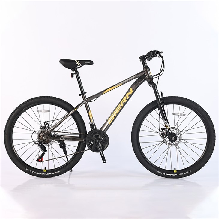Gravel Bike Hardtail