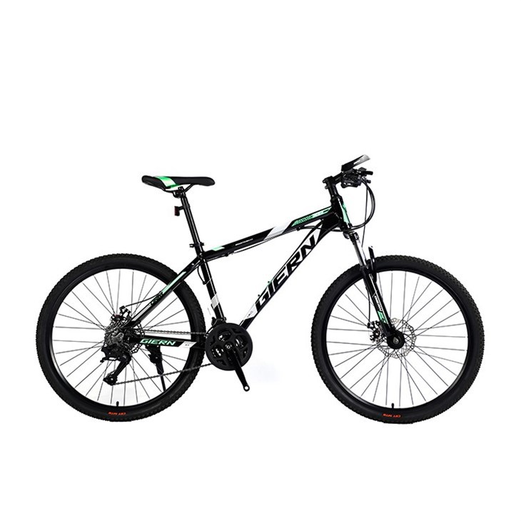 Hardtail Commuter Bike