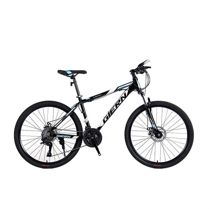 Hardtail Commuter Bike