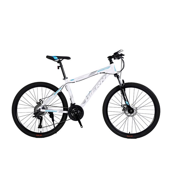 Hardtail Commuter Bike