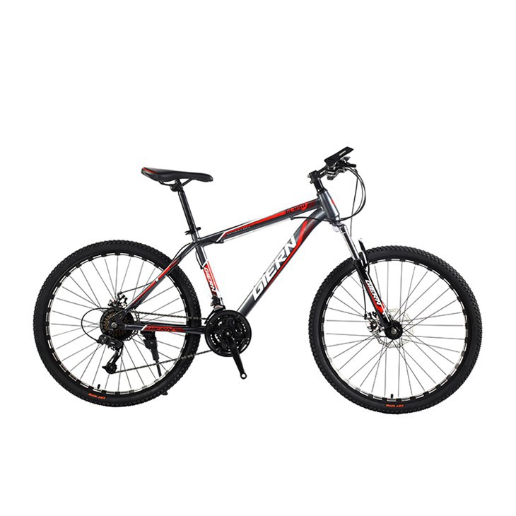 Hardtail Dh Bike