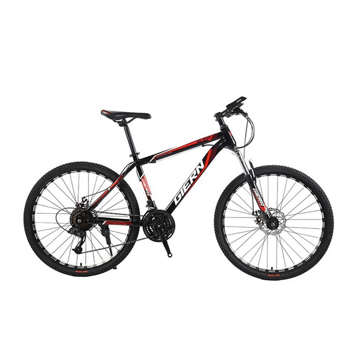 Hardtail Dh Bike