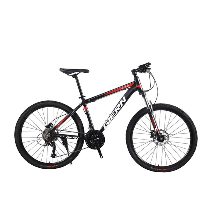 Hardtail Freeride Bike
