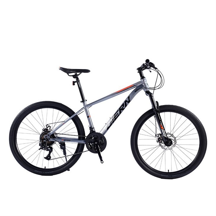 Hardtail Race Bike