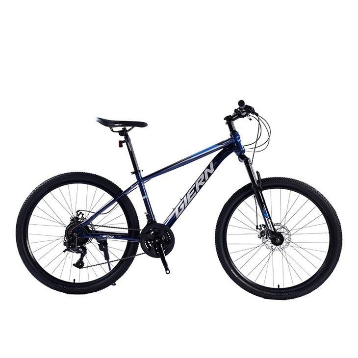 Hardtail Race Bike