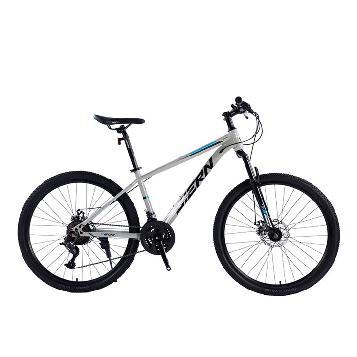 Hardtail Race Bike