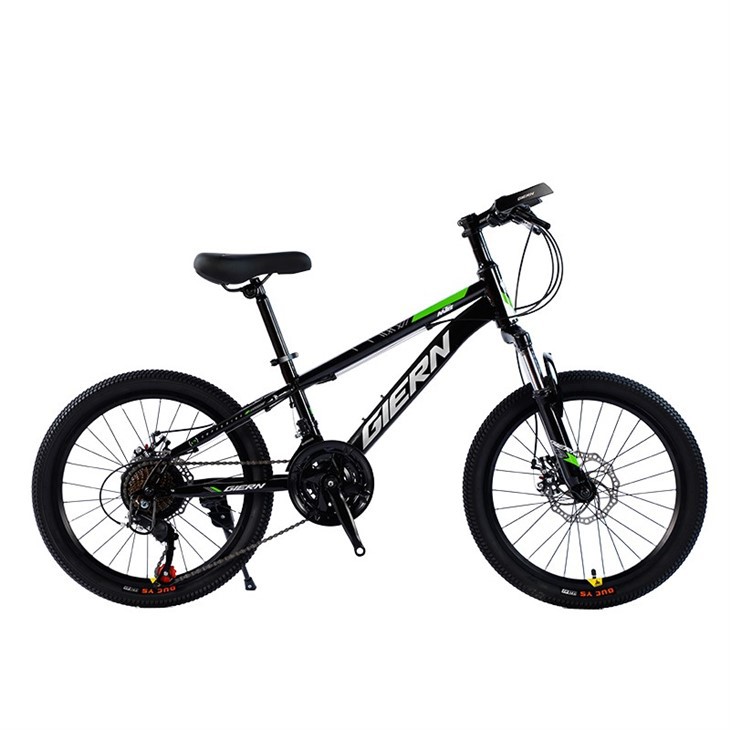 Hardtail Touring Bike