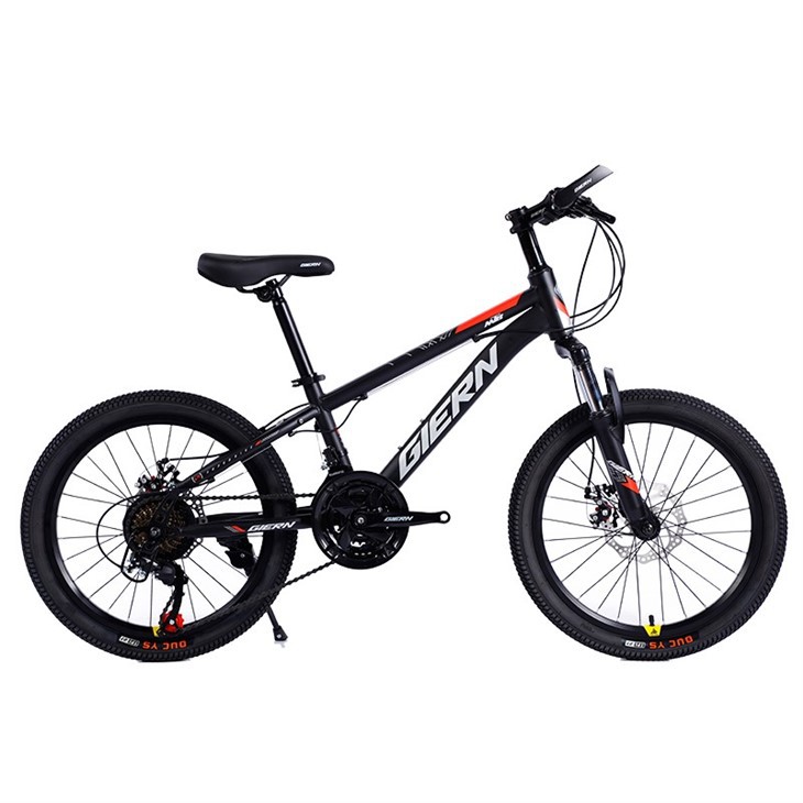 Hardtail Touring Bike