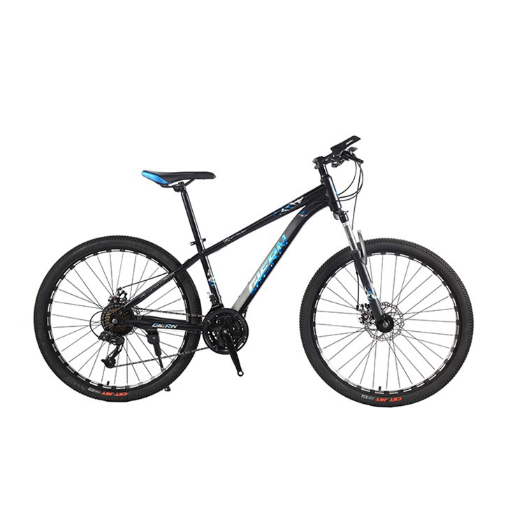 Hardtail Xc Race Bike