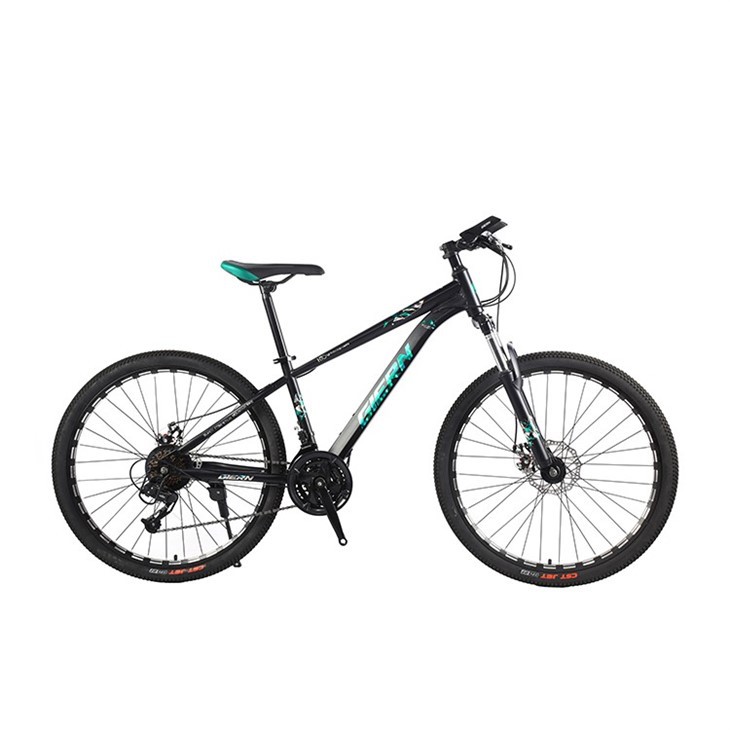 Hardtail Xc Race Bike