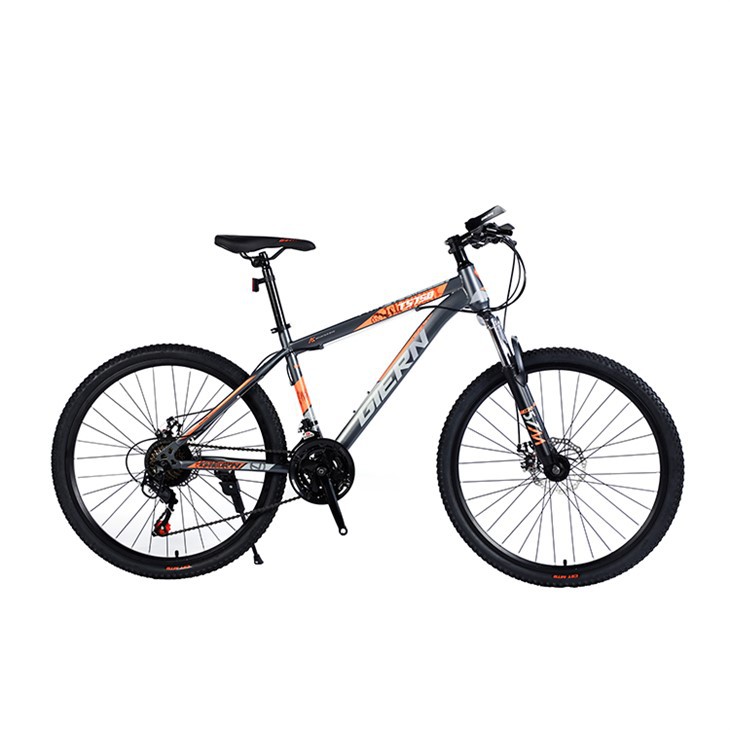 Lightweight Steel Hardtail