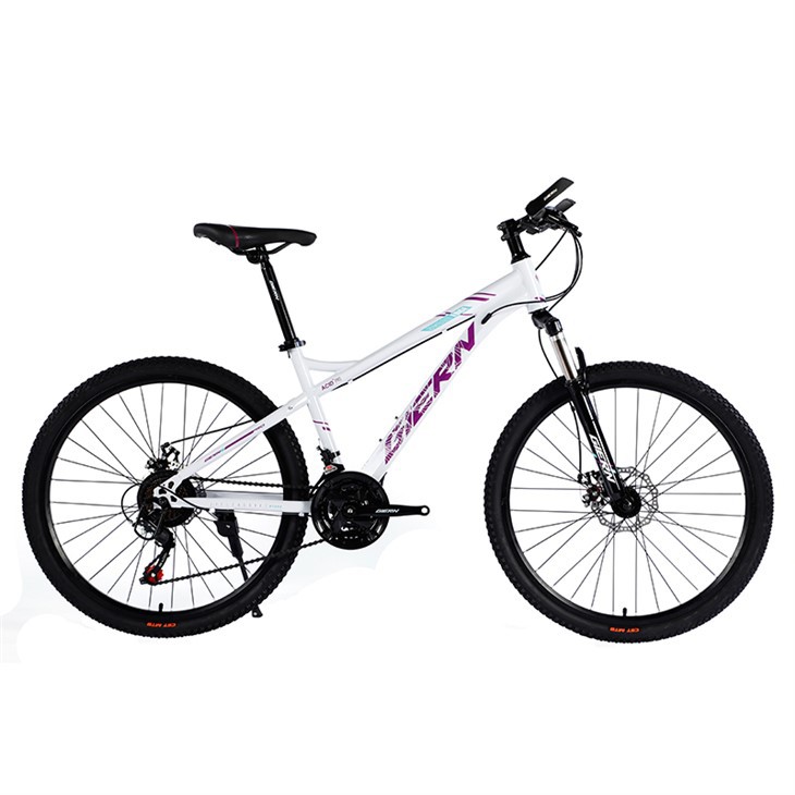 Mtb Cycle With Suspension