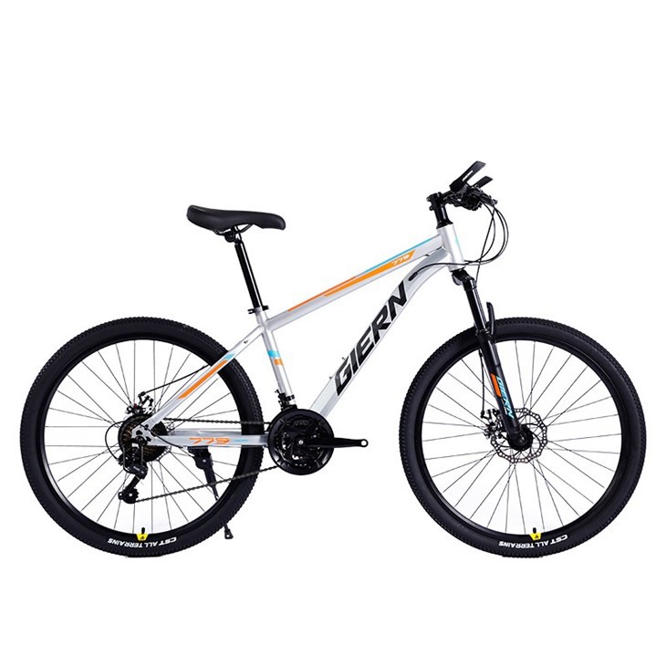 Mtb Frame 29 Hardtail