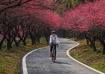 7 Aspects To Pay Attention To in Spring Riding Training